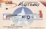 Cam Decals P-51D Mustang 1/24 - 463259 WR-Q Cherraine
