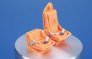 1/48 B-25D Late/G/H/J Mitchell Pilot Seats image 1