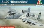 1/48 Fairchild A-10C Blacksnakes