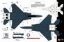 1/72 McDonnell F-15E Black Panther Drone Killers image 3