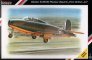 1/48 Gloster E.28/39 Pioneer