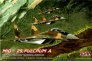 1/48 Mikoyan MiG-29 Fulcrum A CZ & SK service