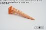 FabScale Studio Missiles Air-Lora 1/72 2 sets image 1