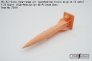 FabScale Studio Missiles Air-Lora 1/72 2 sets image 2
