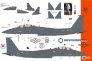 1/48 F-15E Strike Eagle Nose art from the Tigers of Moutain Home image 1