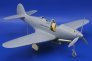 P-39D Airacobra exterior  (SPE) image 1