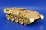 Bergepanther early  (ICM) image 2
