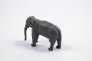 1/48 Asian Elephant image 2