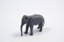1/48 Asian Elephant image 3