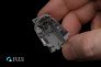 1/48 F-104S/ASA-M 3D-Printed & color Interior image 6