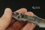 1/72 P-39Q/N Airacobra Interior for Arma Hobby image 8