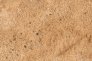 Terrains sandy desert 250ml image 1