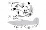 1/72 Hurricane Mk II C PE set image 2