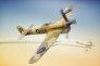 1/72 Typhoon Mk.Ib Car Doors Desert & Luftwaffe trials