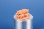 1/48 Sow with piglets image 2