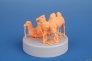 1/72 Bactrian Camel, 2 pcs. image 3