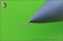 1/72 Su-27/Su-30 (Flanker)  Pitot Tube image 1