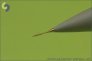 1/72 Dassault Mirage 2000 Pitot Tube image 1
