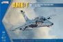 1/48 AMX International 2 Seater