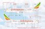 1/144 Decals Boeing 737-760 Ethiopian Airlines image 1