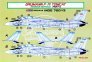 1/72 Decals F-14A Tomcat Iranian Service Part II