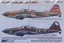 1/32 Decals Czechoslovak pilots in IL-2M3s
