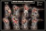 1/32 British infantry 12 different figures image 1