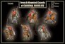 1/72 French mounted guards of Cardinal Richelieu image 1