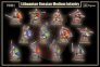 1/72 Scale Lithuanian-Russian medium infantry 1st half Xv centur image 1
