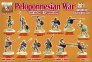 1/72 Peloponnesian War, Sicilian Expedition 415-413 Bc Set 1 image 1