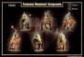 Mars Sergents Mont�s Teutoniques 1�re moiti� XVe s. 1/72 image 1