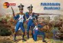 1/32 Polish Infantry Napoleonic