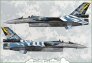 1/72 Lockheed-Martin F-16C Zeus Demo Team decal & resin