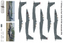 FabScale Studio F-15E Eagle Nose Art Decals 1/72 image 1