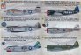 1/144 Republic P-47 Thunderbolt (wet decal) image 2