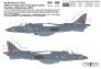 FabScale 1/48 AV-8B+ Harrier VMA-231 Afghanistan 2009 image 1
