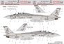 HAD 1/32 D�calcomanie F-14A Jolly Rogers Low Visibility