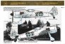 1/48 Decal Fw-190 F-8 / A-8 (Luftwaffe black 2)