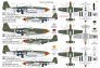 1/72 P-51D-5 Mustang 357th FG image 1