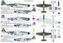 1/72 P-51D-5 Mustang 20th FG image 1