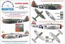 Montex Masques P-47D Thunderbolt 1/24 Kinetic Vintage