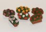 1/35 Flowers in boxes image 1