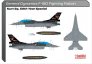 1/72 F-16D Fighting Falcon Kurt sq 50yh Year Special Tail Decal image 2
