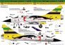 1/48 Decal Mirage 2000C A. Senna 25th Anniversary image 1