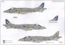 1/48 BAe Harrier  Test & demonstration aircraft 4 image 1