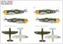 1/32 Decals P-47 D Razorback 58th Over New Guinea image 6