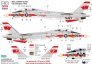 1/48 Decal F-14A VF-1 Wolfpack extended version image 1