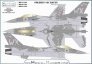 1/32 F-16C Raven WX-4047 100TH Anniversary of Polish Air Force