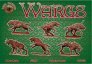 1/72 Wargs image 1