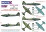 1/32 Ilyushin Il-22 canopy mask, insignia masks